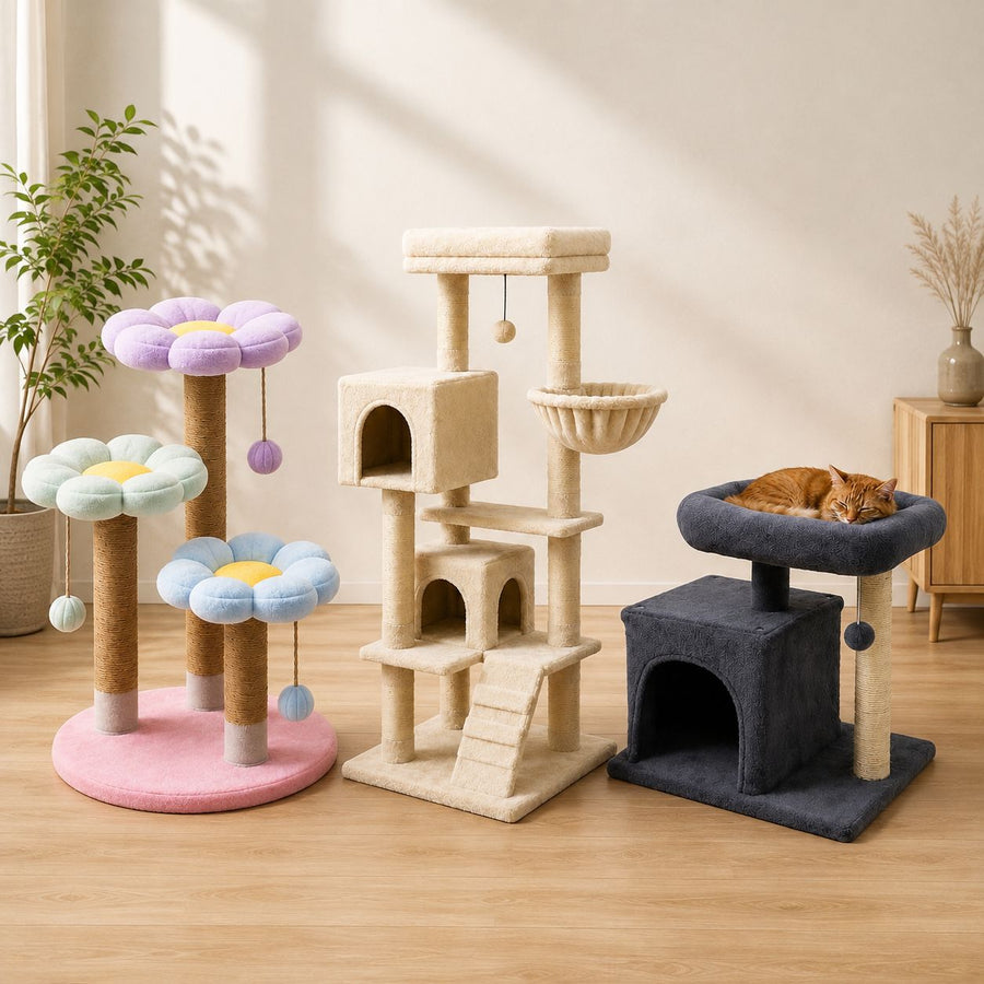 Cat Trees & Scratchers